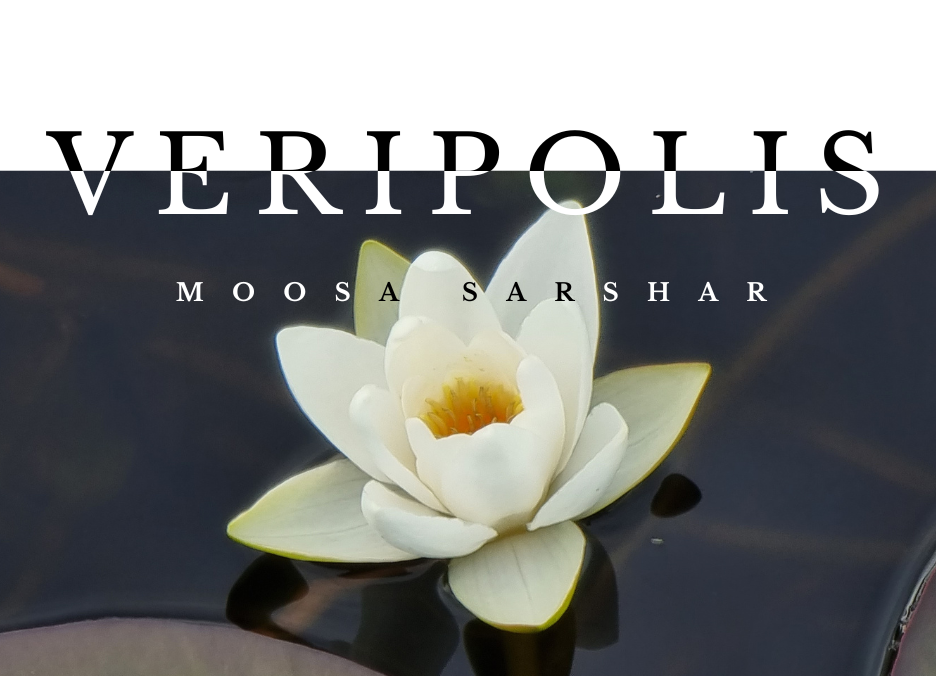 Veripolis — Moosa Sarshar